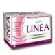 Fix herbata Linea a 20 sasz 