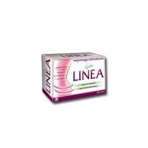 Fix herbata Linea a 20 sasz 