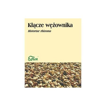 Wężownik kłącze 50g 