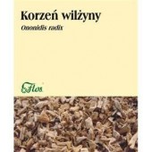 Wilżyna korzeń 50g 