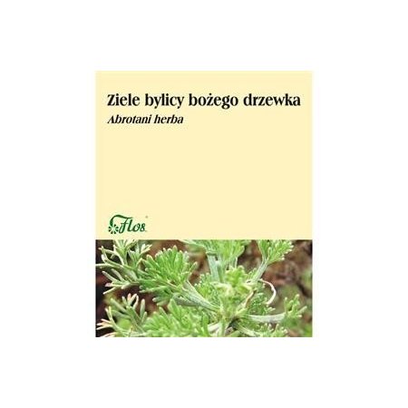 Bylica boże drzewko 50g 