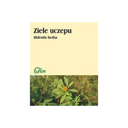 Uczep ziele 50g 