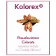 Kolorex kapsułki przeciwgrzybicze z naturalnych składników 30 kaps.