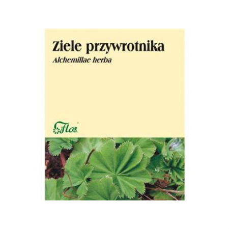 Przywrotnik ziele 50g 