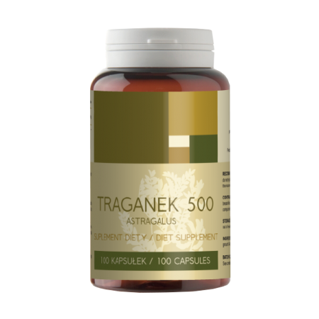 Traganek korzeń 100 kapsułek po 500mg