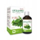 Olej Oregano Forte 30ml ALTER MEDICA