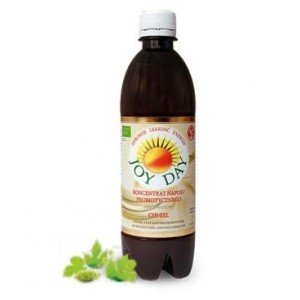 JOY DAY Eko Koncentrat napoju probiotycznego CHMIEL poj. 500 ml. JOY DAY Eko Koncentrat napoju probiotycznego CHMIEL poj. 500 ml.