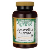  Boswellia Serrata extract 200mg, SWANSON, 120 kap