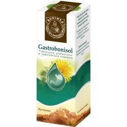 Gastrobonisol płyn doustny 100 g