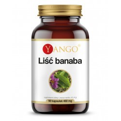Yango Liść banaba - 90 kaps cukrzyca