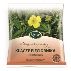 Pięciornik kłącze 50g 